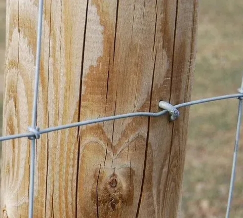 Бытовое применение проволоки: ремонт, садоводство, крепления