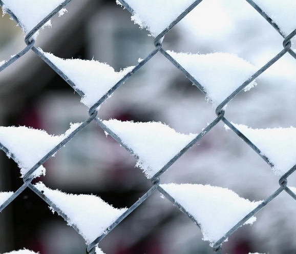 Металлическая сетка, закрепленная проволокой на деревянных столбах для защиты садовых растений от снежных заносов зимой