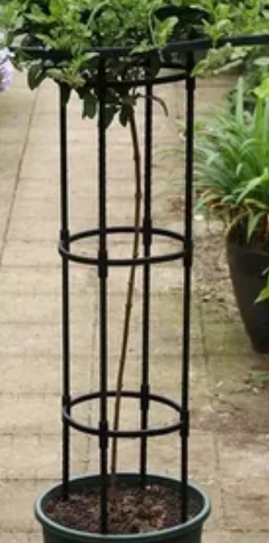 Прочные опоры для растений в саду, сделанные из стального шестигранника